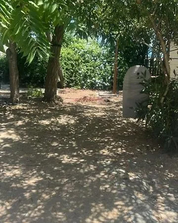 Apartman Fronte